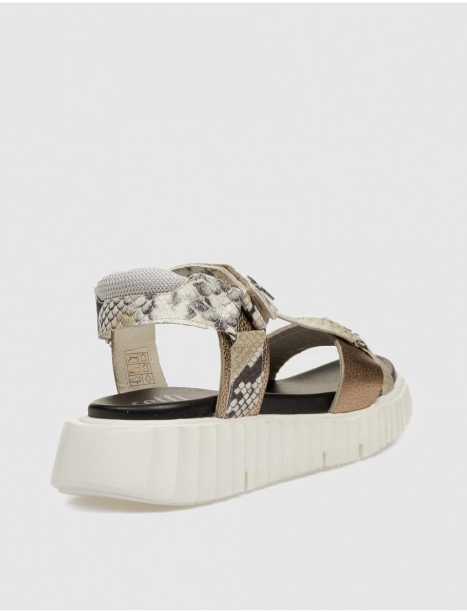 SANDALIA CETTI 1316 PLATINO