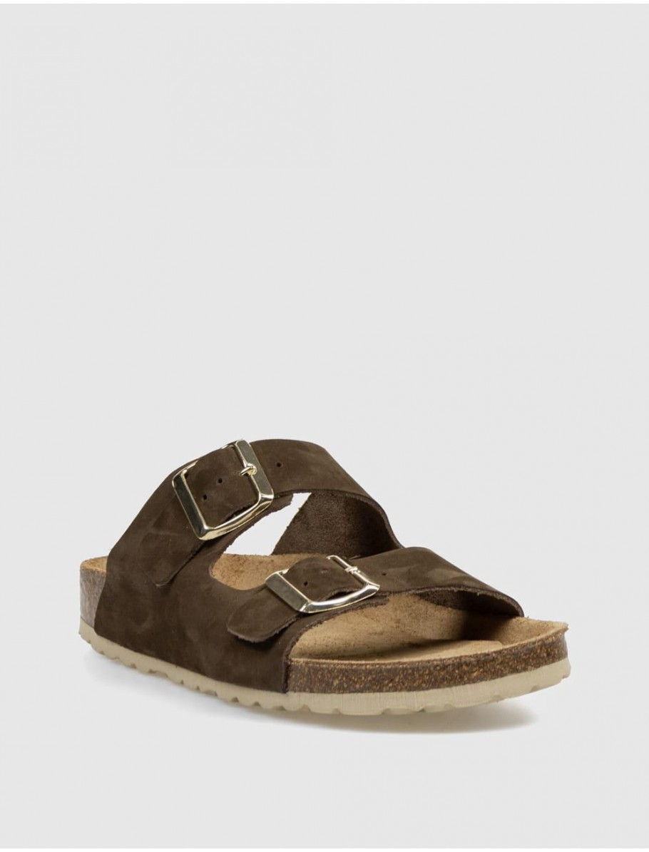 BIO KAMOME ANA MARRoN