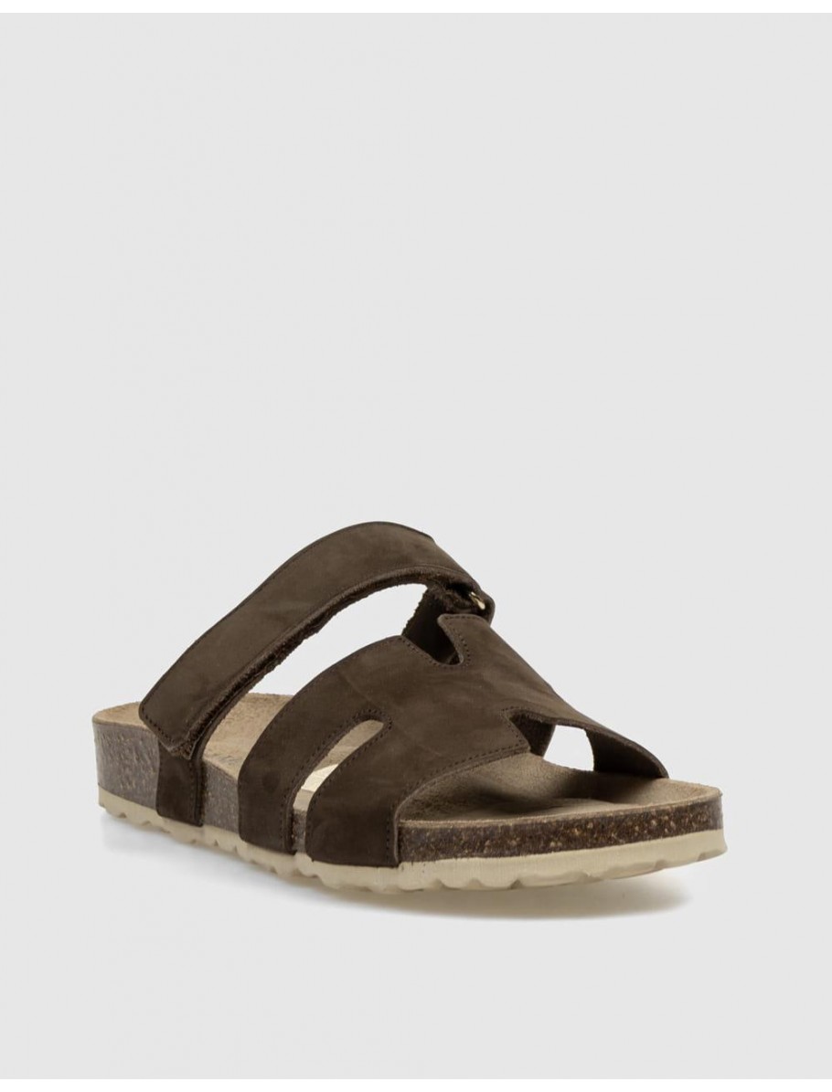 BIO KAMOME REME 60 MARRoN