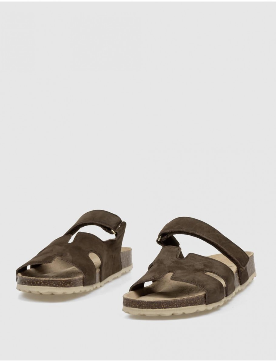 BIO KAMOME REME 60 MARRoN