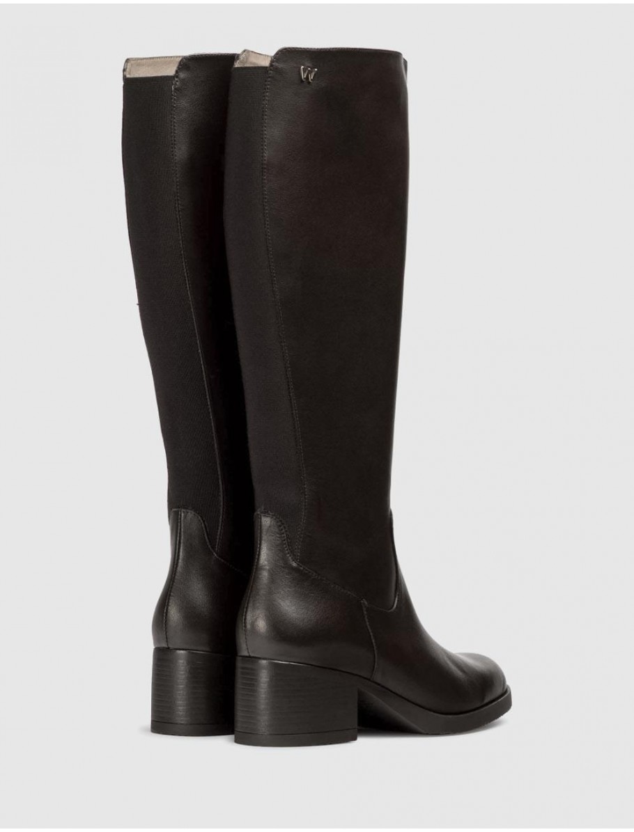 BOTA WONDERS G 6250 MARRoN