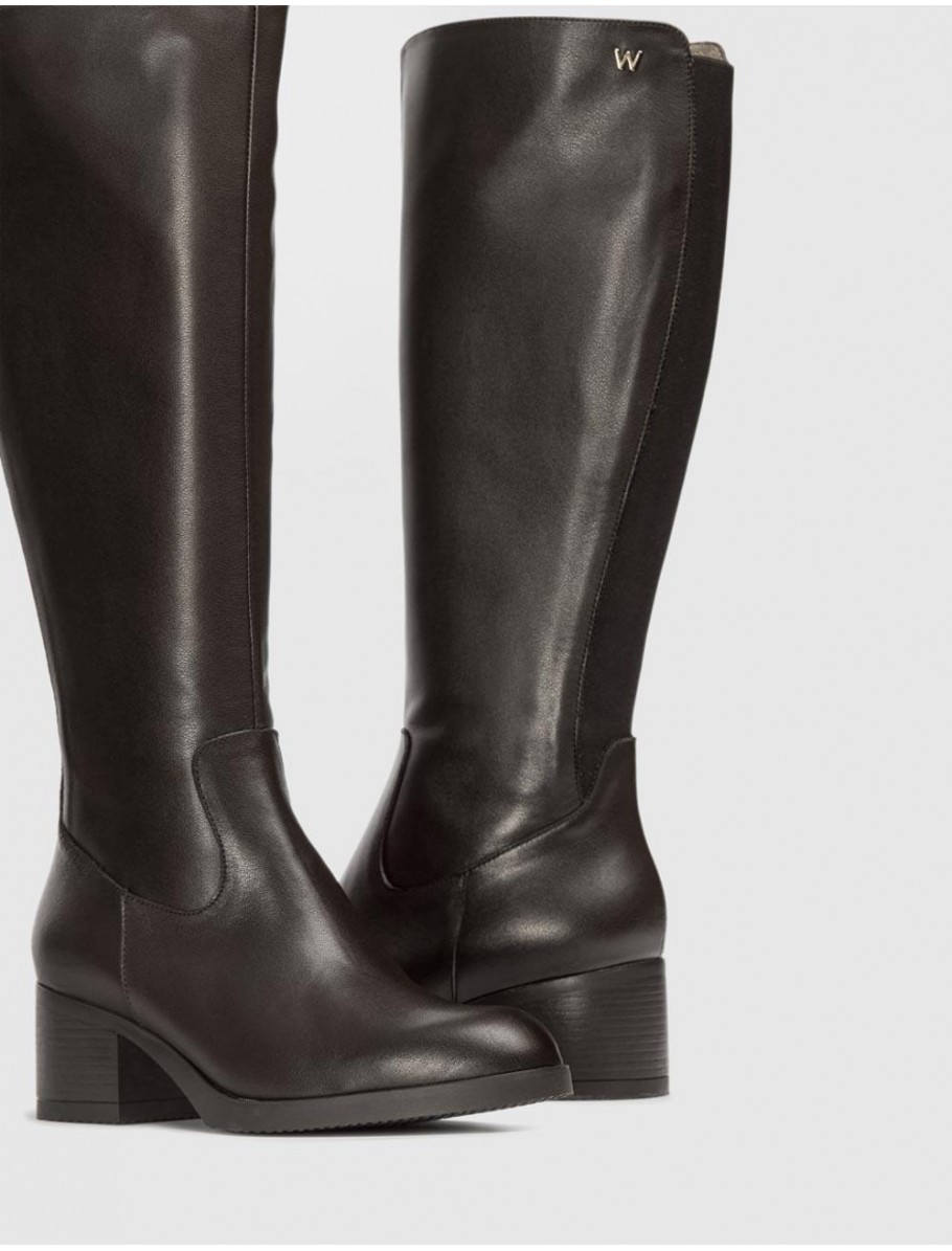 BOTA WONDERS G 6250 MARRoN
