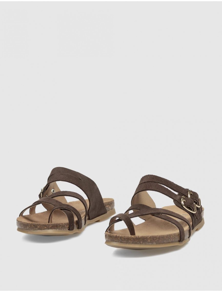 BIO KAMOME 801 MONER MARRoN