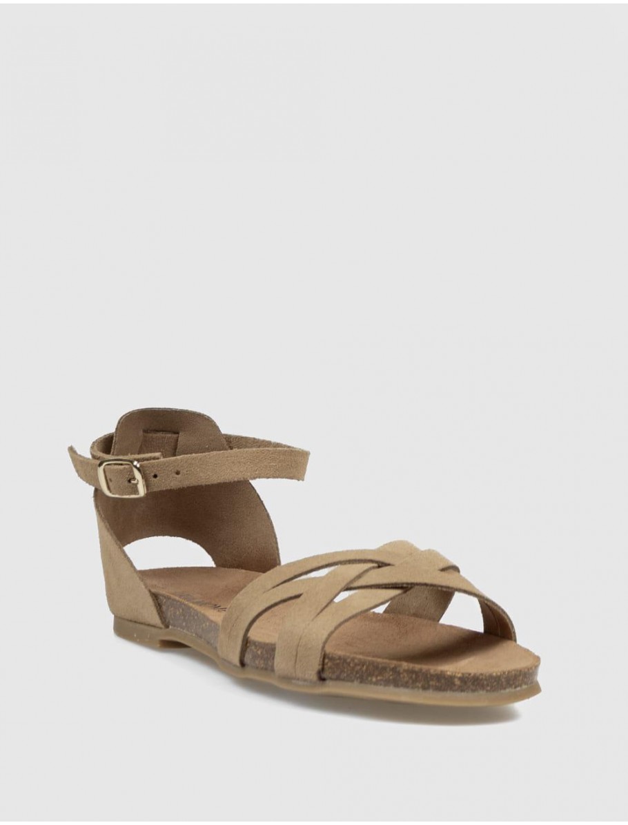 BIO KAMOME 804 FONTAL TAUPE